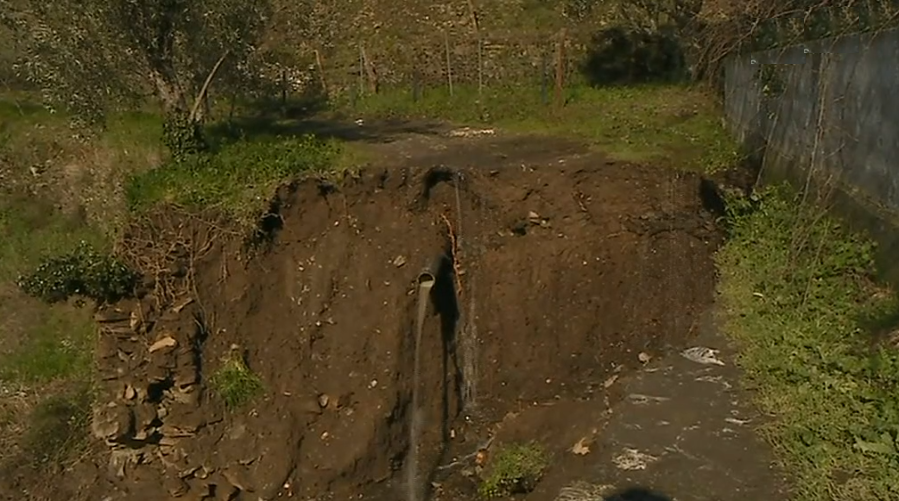 Destruição de vinha no Douro