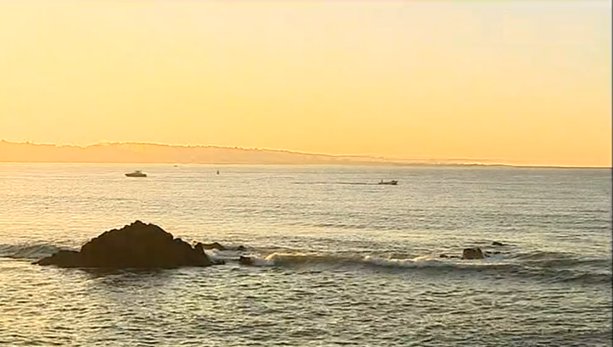 Mãe detida por suspeita de duplo homicídio em Caxias