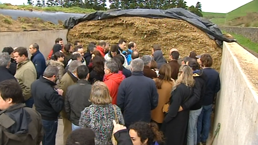 Participantes do Colóquio do Milho visitam explorações agrícolas