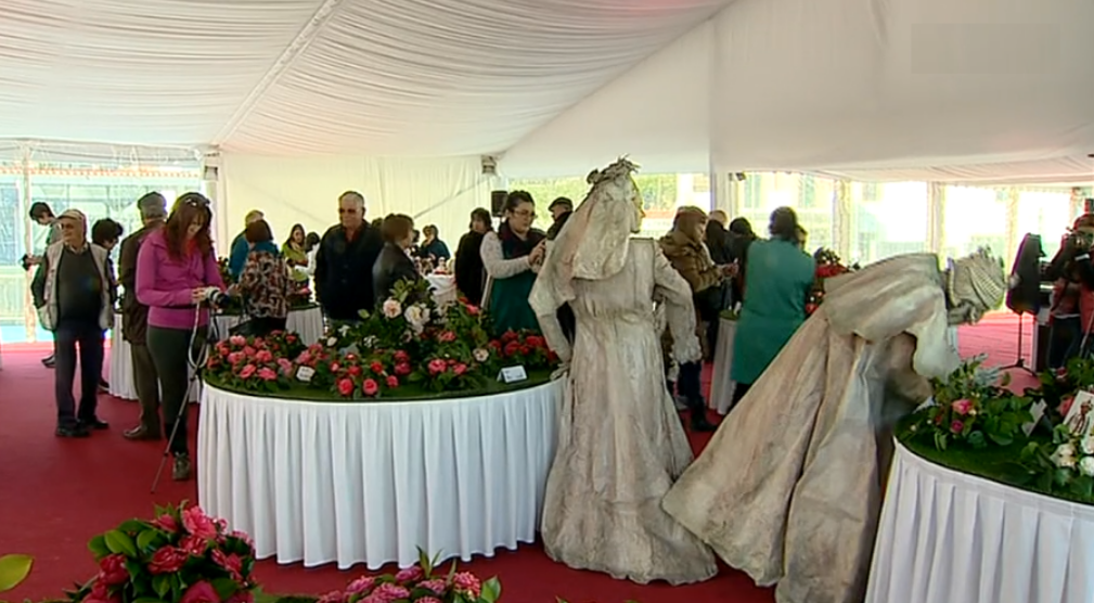 Floricultura no Algarve