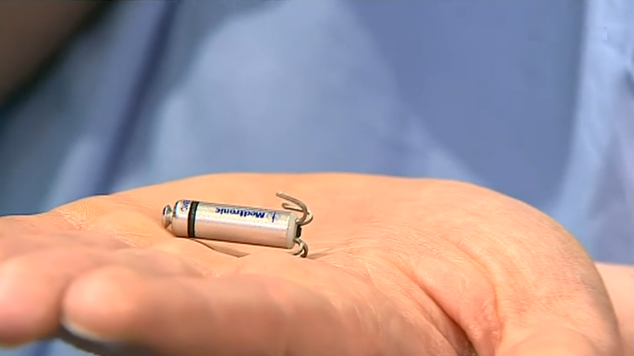 Entrevista a Diogo Cavaco