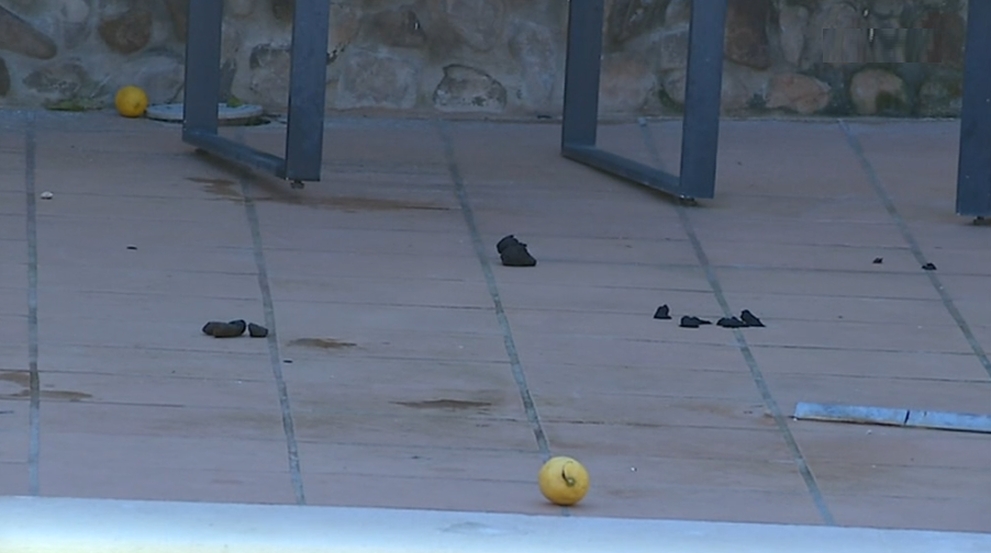 Encerramento de lar de Idosos em Loulé