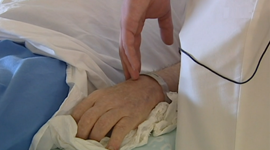 Referendos internos à Morte Assistida