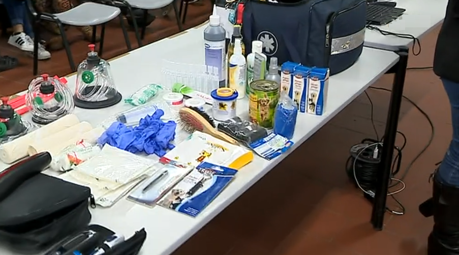 Curso de Formação Profissional de Primeiros Socorros a Animais I