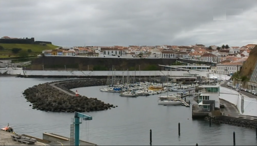 Turismo de observação de cetáceos