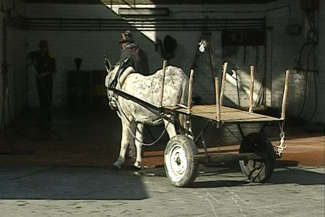 CROMOS de Portugal – Parte I