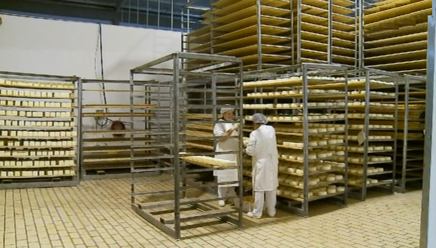 Investimento na Lactopico