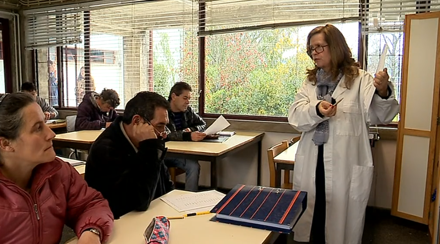 Analfabetismo em Portugal