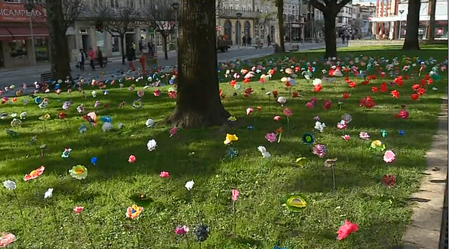 Semana da Camélia em Vila nova de Famalicão I