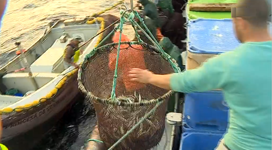 Contributo do mar na economia