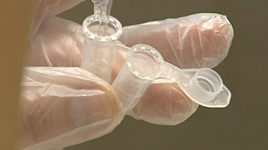 Debate sobre ensaios clínicos no Porto