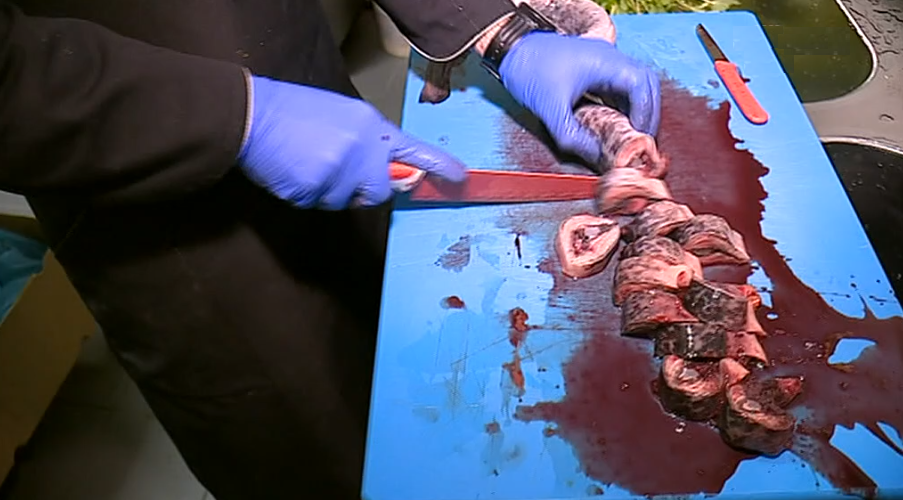 Semana da Lampreia em Belver