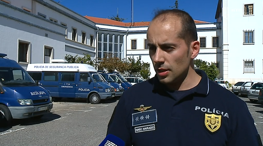 Burla com casas de férias e cães de raça