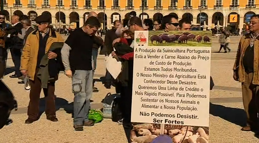 Protesto de suinicultores em Lisboa