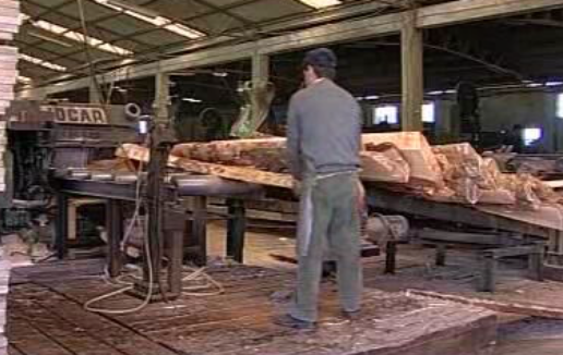 Preservação da floresta