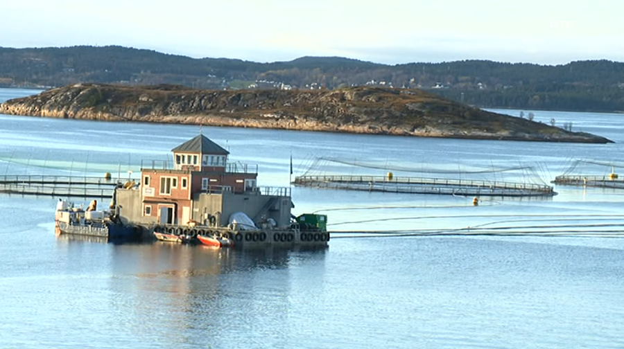 Aquacultura na Noruega