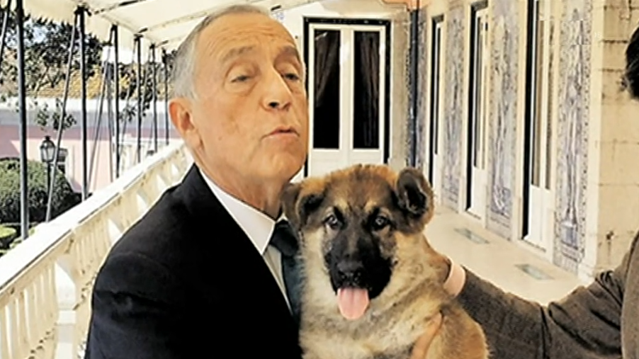 “Asa” o cão do presidente