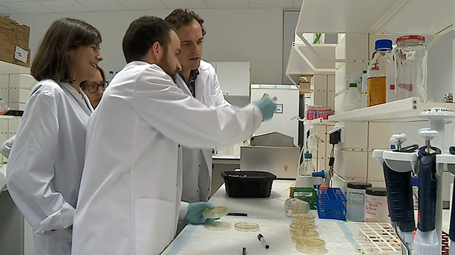 Investigação médica às células estaminais hematopoiéticas