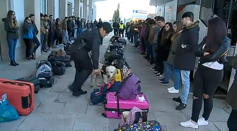 Operação de fiscalização a viagens de finalistas