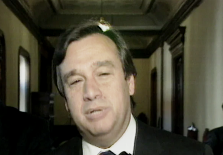 Reações à aprovação do Decreto da Revisão Constitucional