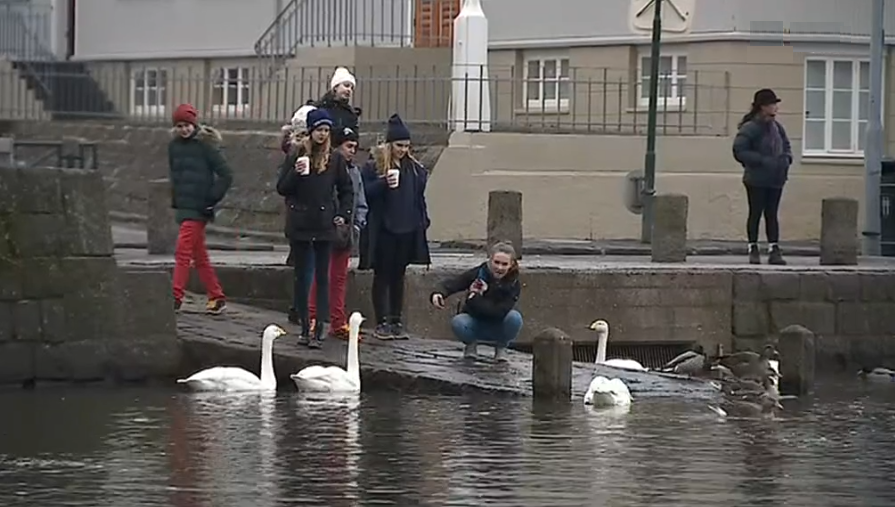 Turismo na Islândia