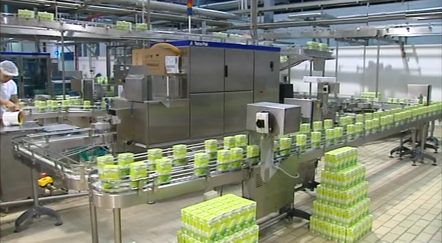 Setor leiteiro em falência técnica nos Açores