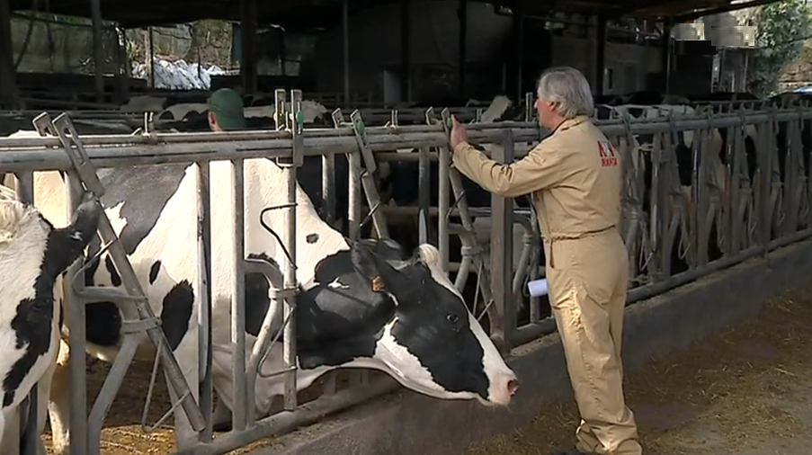 Crise no setor do leite em Braga