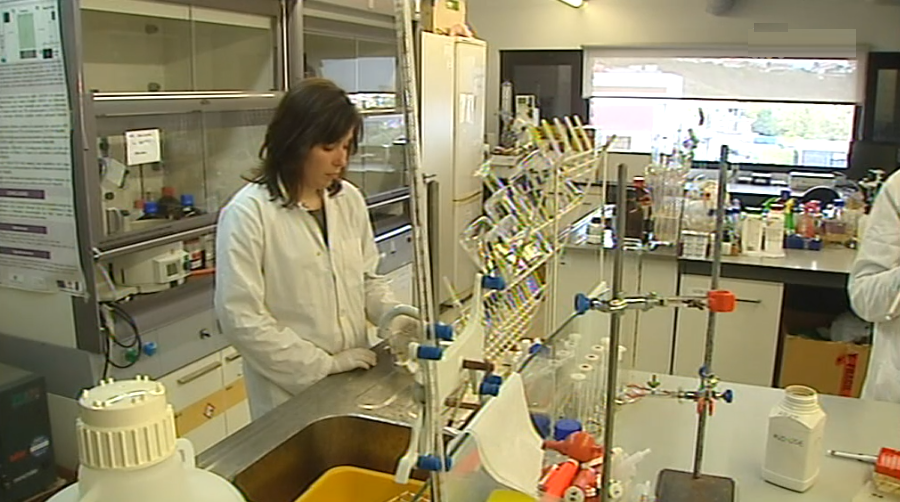 Queijo Probiótico na Universidade dos Açores