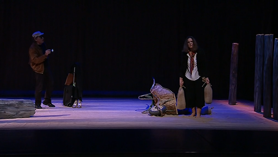 Peça de teatro “Instruções para voar”