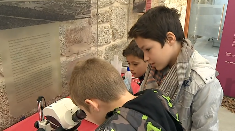 Centro de Interpretação Ambiental de Viana do Castelo I