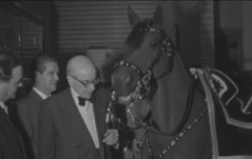 Arreio para cavalo será oferecido a Isabel II