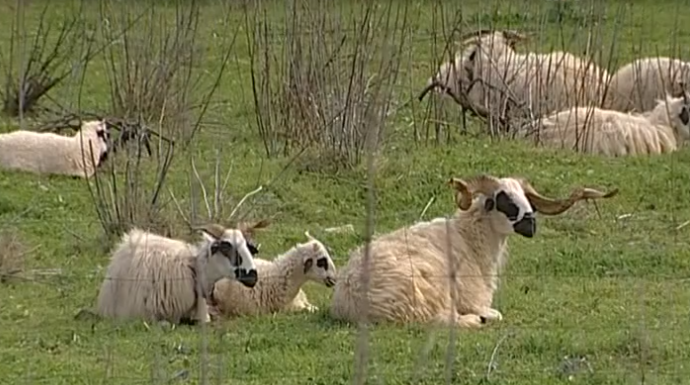 Projeto turístico em Pedralva