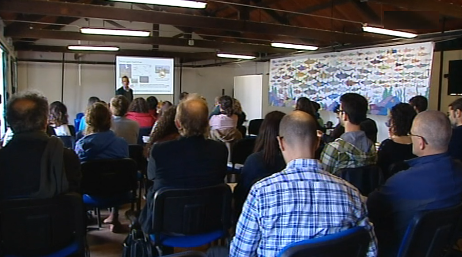 Encontro do projeto “Mistic Seas” no Faial