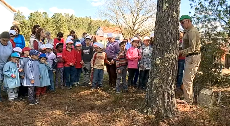Projeto escolar ensina arte da resinagem aos alunos na Sertã