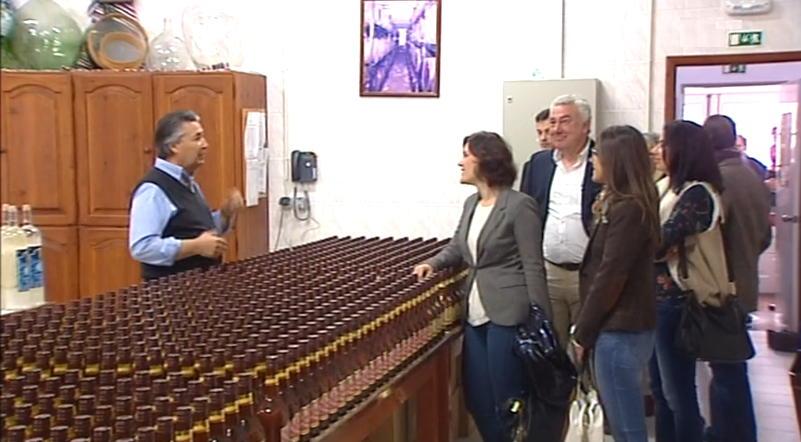 Assunção Cristas visita empresas em São Miguel