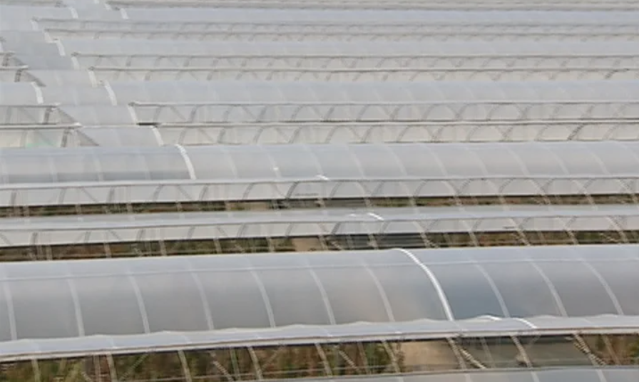 Agricultura na Região Oeste