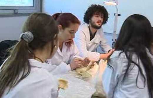 40 Anos ICBAS