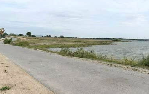 Crime ambiental e contestação da Quercus