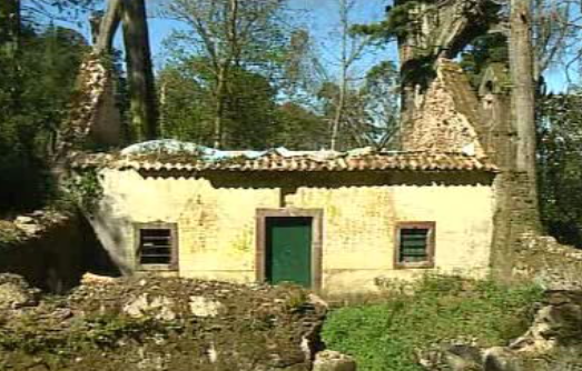 Via Sacra da Mata Nacional do Buçaco em ruína