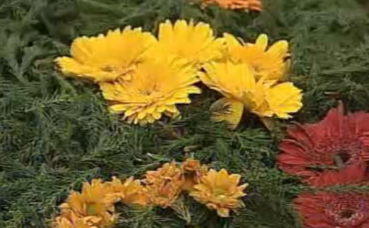 Festa da Flor na Ilha da Madeira