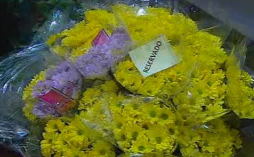 Negócio das flores na Madeira