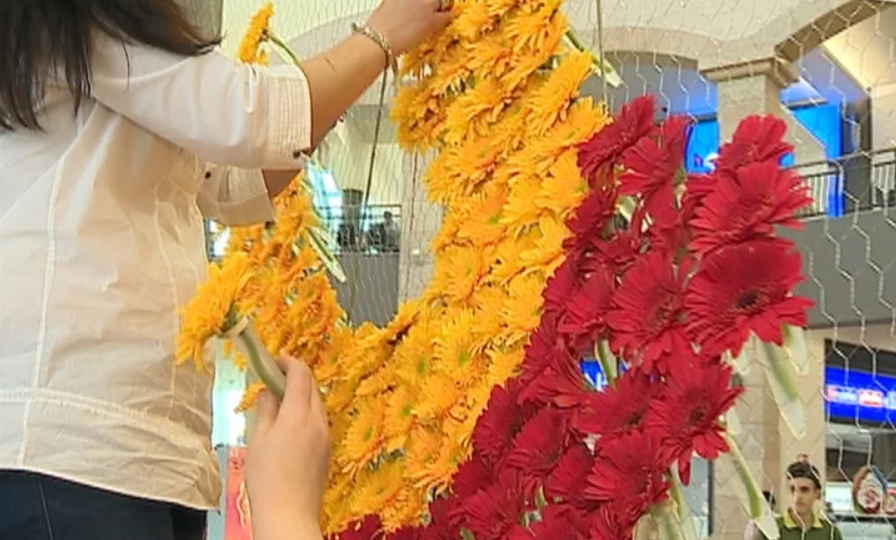 Antevisão do Festival da Flor no Montijo