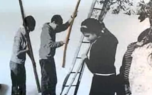 Espaço da Mente no Parque Biológico da Serra da Lousã