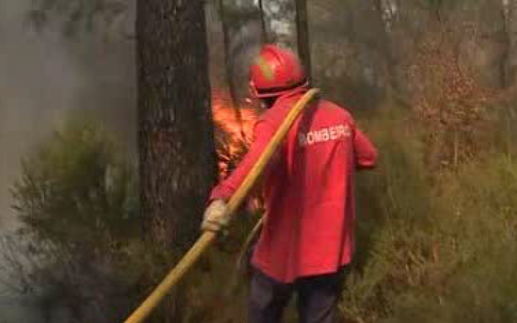 Incêndio florestal em Viseu