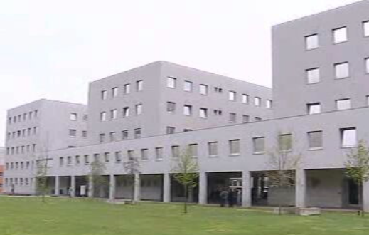 Microsoft recruta alunos na FEUP