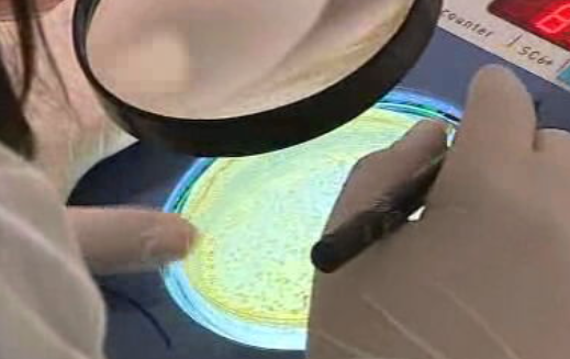 Desenvolvimento da investigação médica na área da oftalmologia