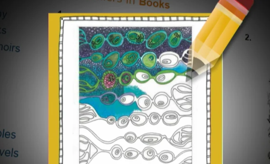 Livros para colorir para adultos