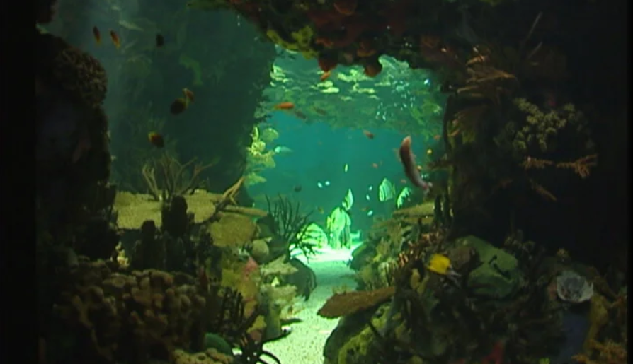 Concessão do Oceanário