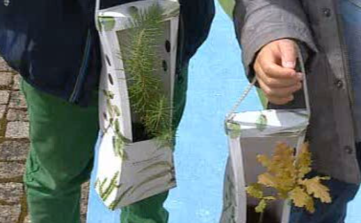 Iniciativa “Dá a mão à Floresta”