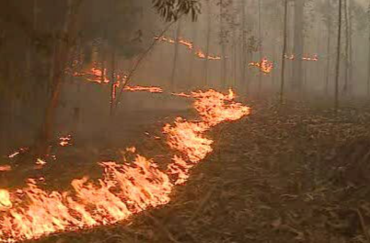 Incêndio em Sever do Vouga